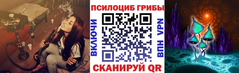 Псилоцибиновые грибы Psilocybe Пойковский
